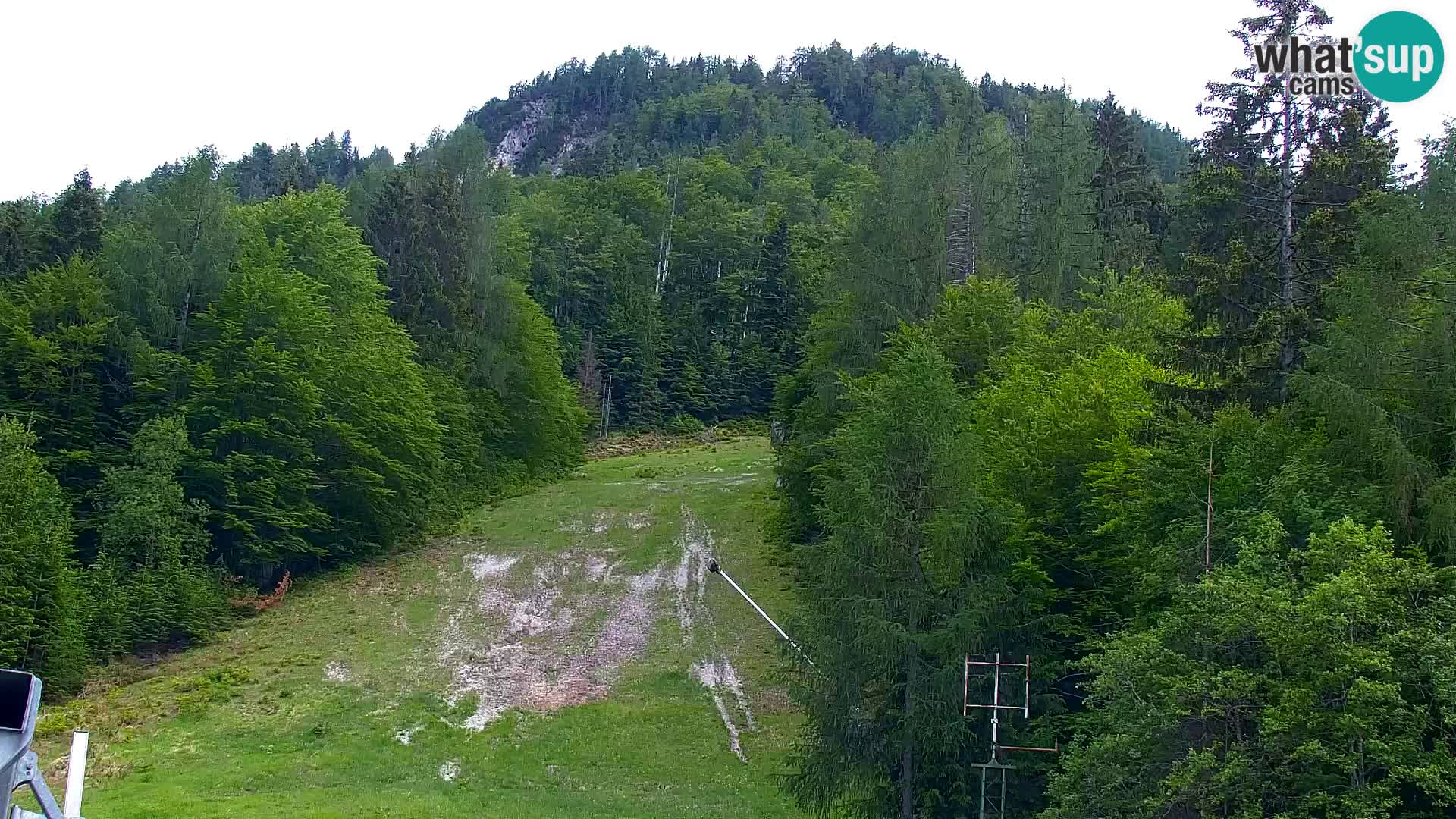 Vitranc Kranjska Gora webcam | VITRANC 1 stazione superiore