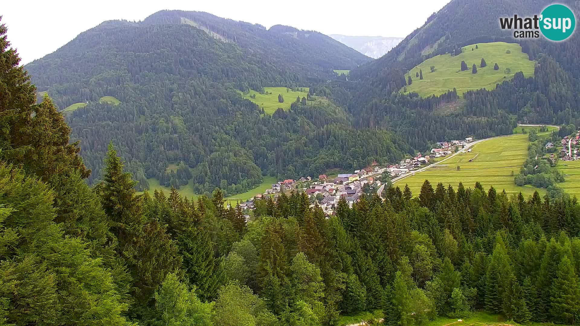 Kranjska Gora livecam VITRANC 1 | estación superior