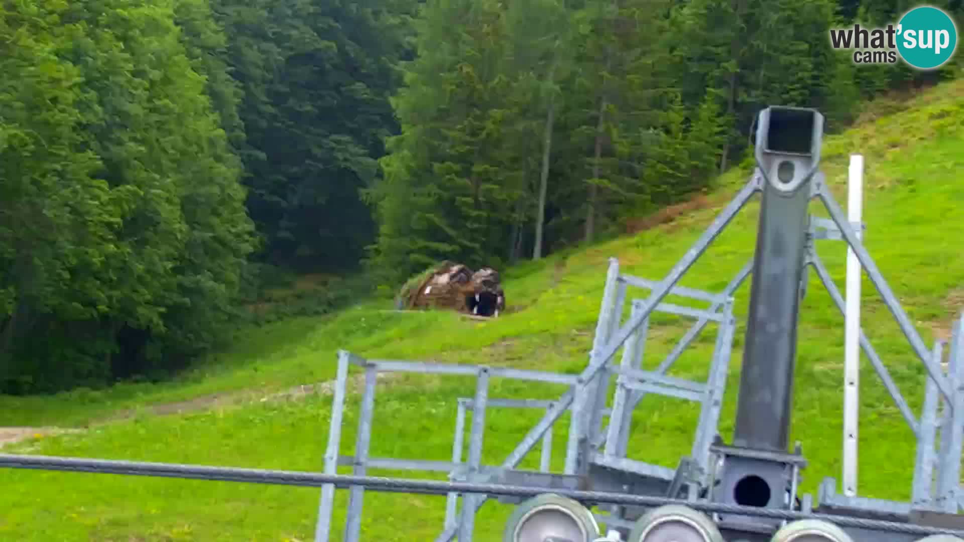 Kranjska Gora webcam VITRANC 1 | obere Station