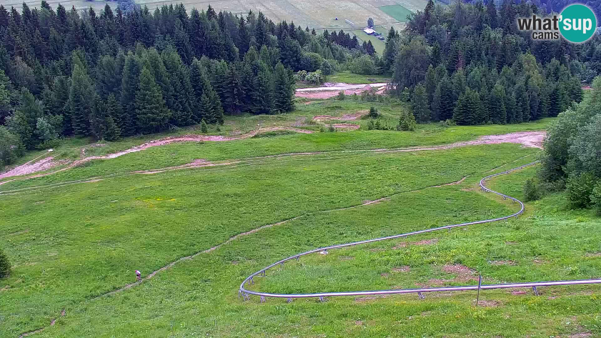 Vitranc Kranjska Gora webcam | VITRANC 1 stazione superiore
