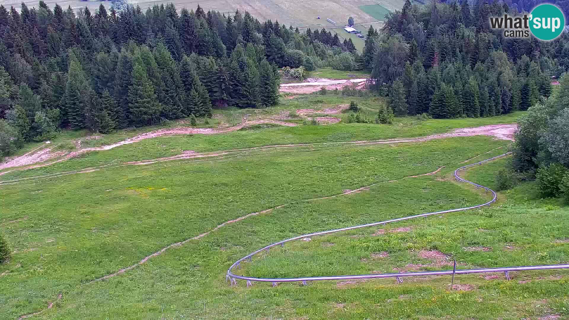 Vitranc Kranjska Gora webcam | VITRANC 1 stazione superiore