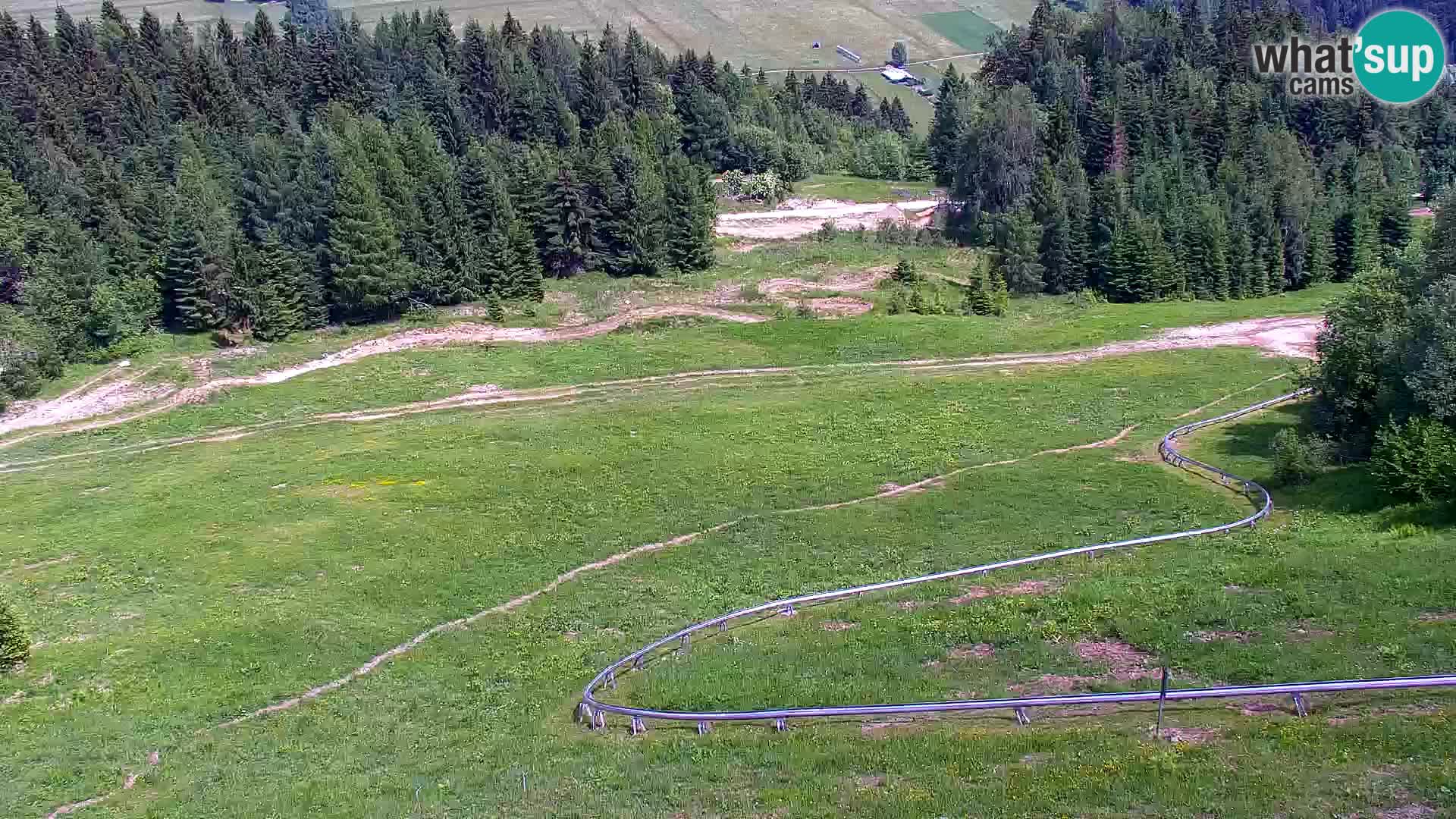 Vitranc Kranjska Gora webcam | VITRANC 1 stazione superiore