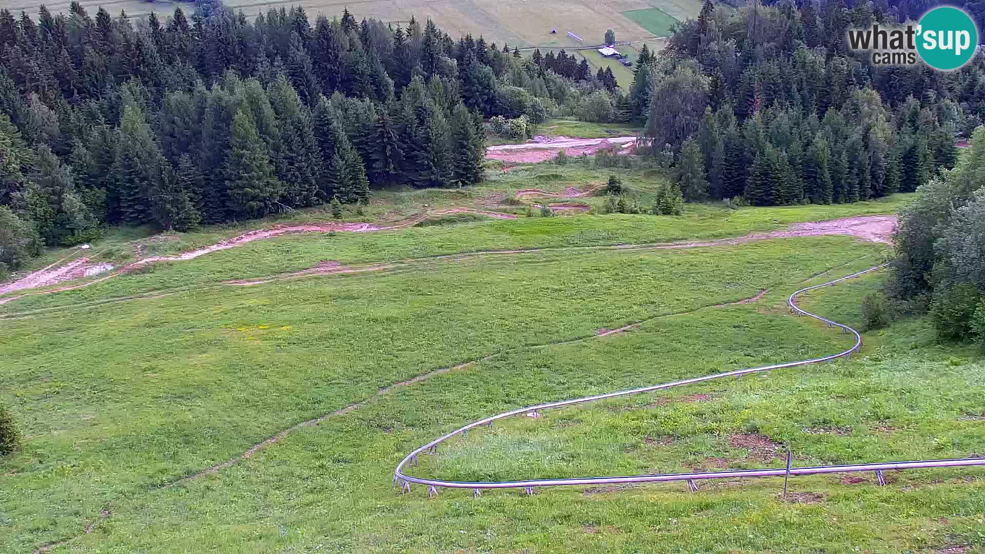 Vitranc Kranjska Gora webcam | VITRANC 1 stazione superiore