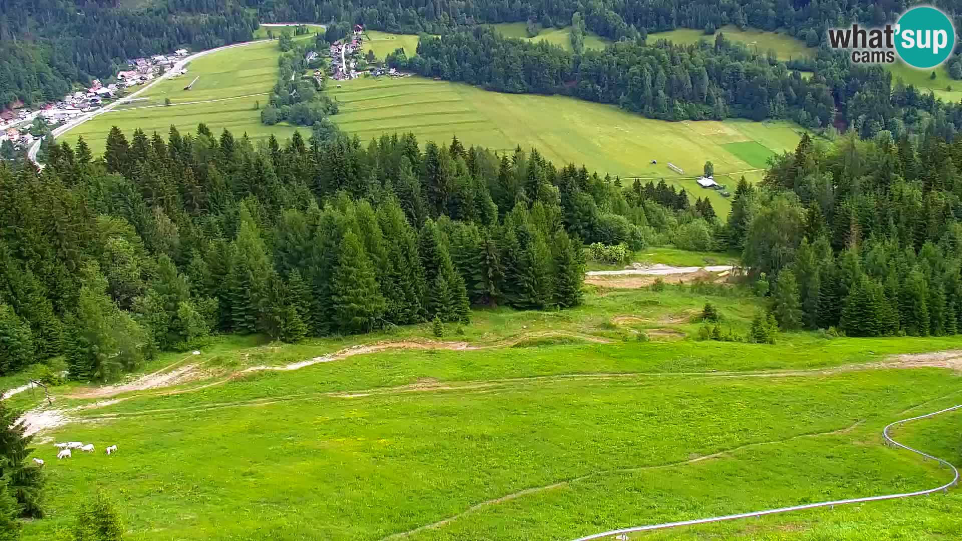 Vitranc Kranjska Gora webcam | VITRANC 1 stazione superiore