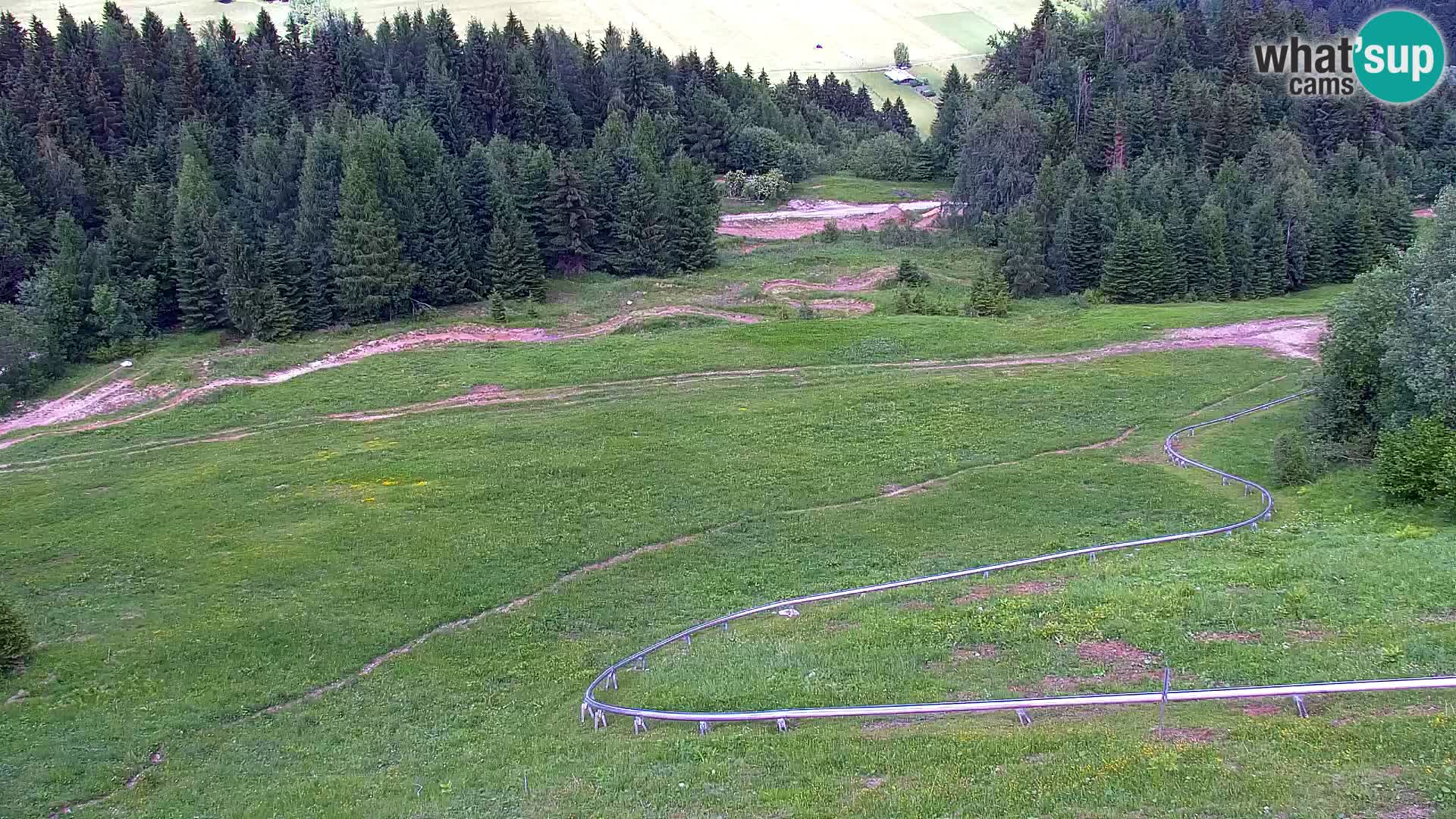 Vitranc Kranjska Gora webcam | VITRANC 1 stazione superiore