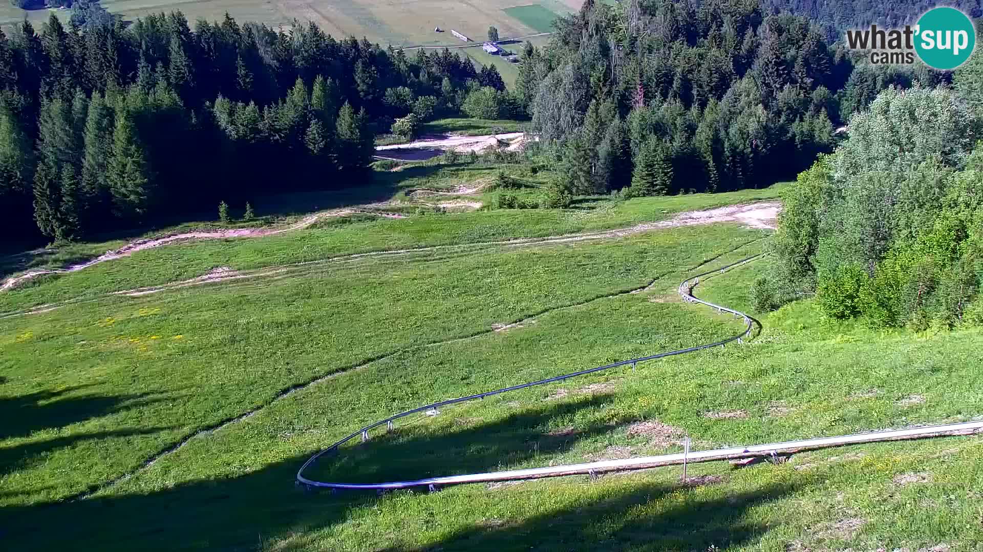 Vitranc Kranjska Gora webcam | VITRANC 1 stazione superiore
