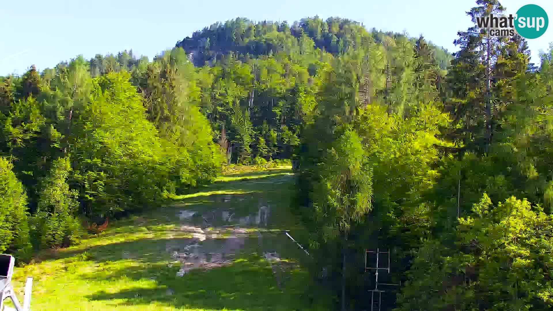Vitranc Kranjska Gora webcam | VITRANC 1 stazione superiore