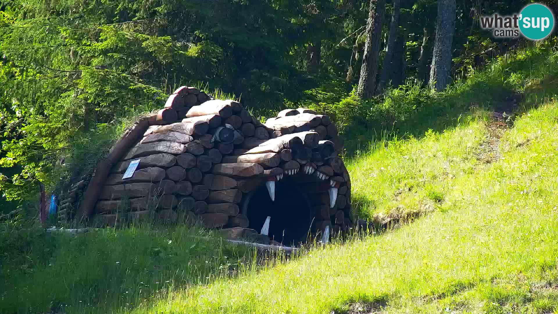 Kranjska Gora kamera VITRANC 1 | Zgornja postaja