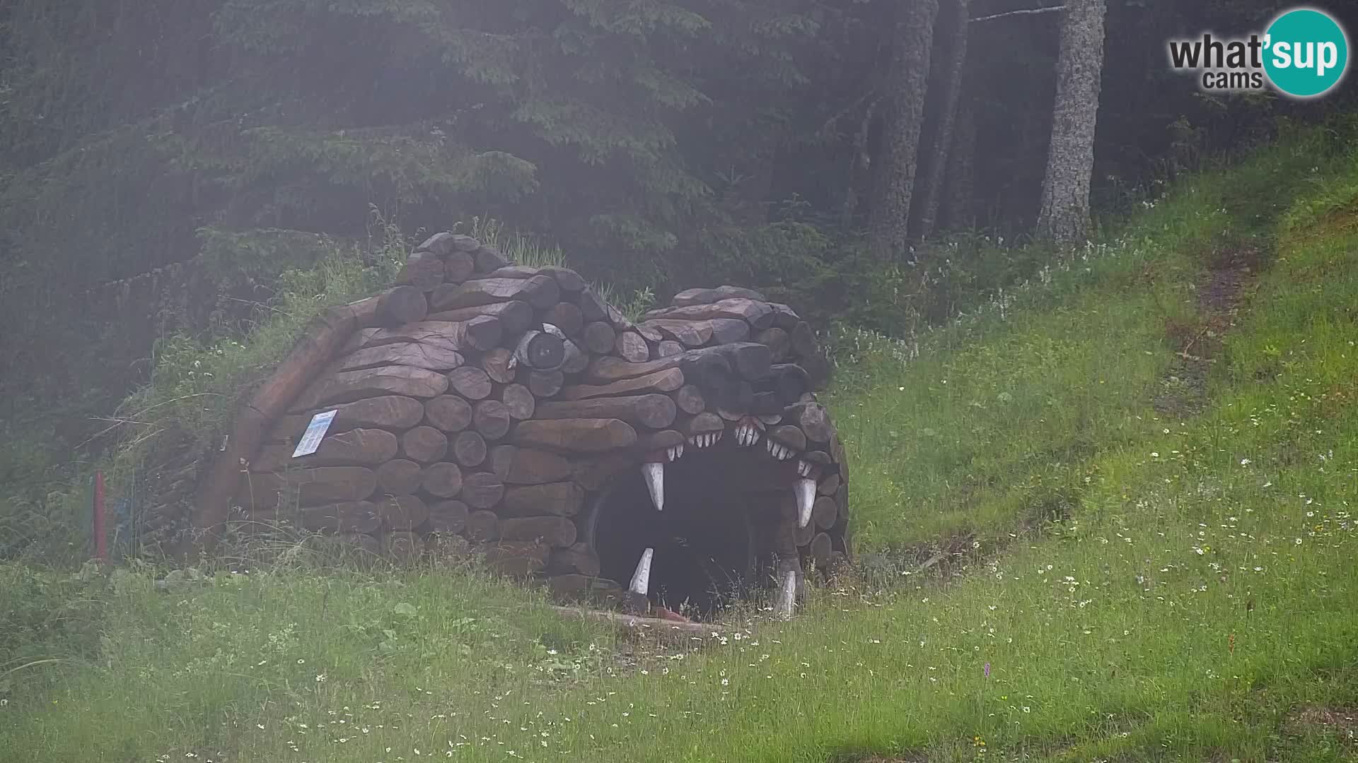 Kranjska Gora web kamera Vitranc | VITRANC 1 gornja postaja