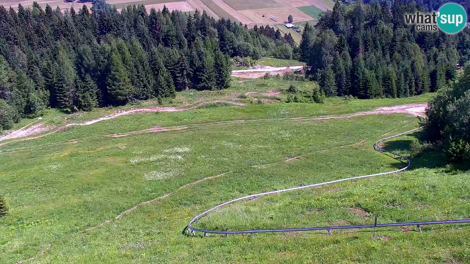 Kranjska Gora kamera VITRANC 1 | Zgornja postaja