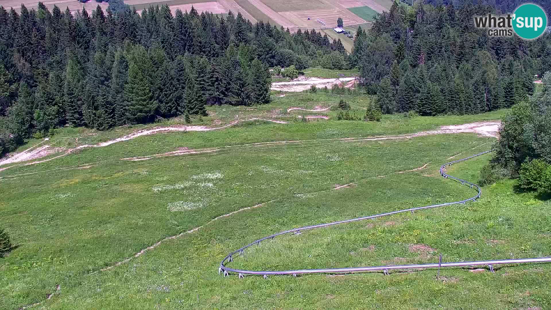 Vitranc Kranjska Gora webcam | VITRANC 1 stazione superiore