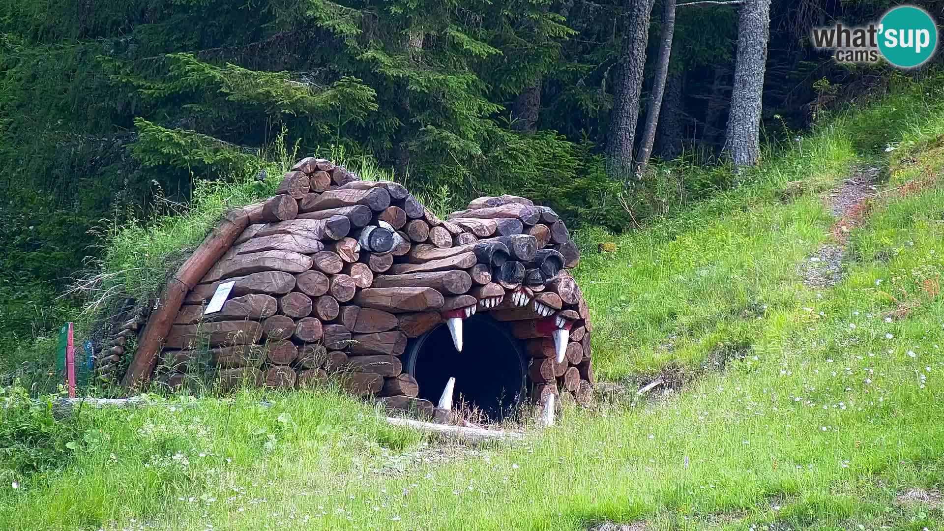 Kranjska Gora web kamera Vitranc | VITRANC 1 gornja postaja