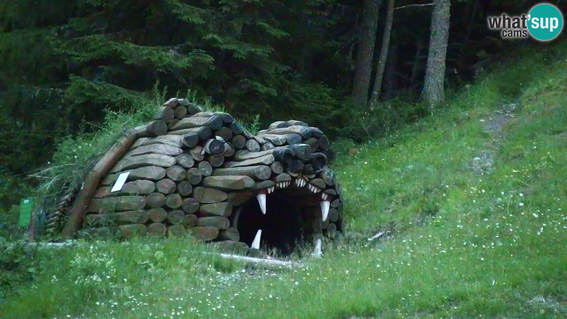 Kranjska Gora web kamera Vitranc | VITRANC 1 gornja postaja