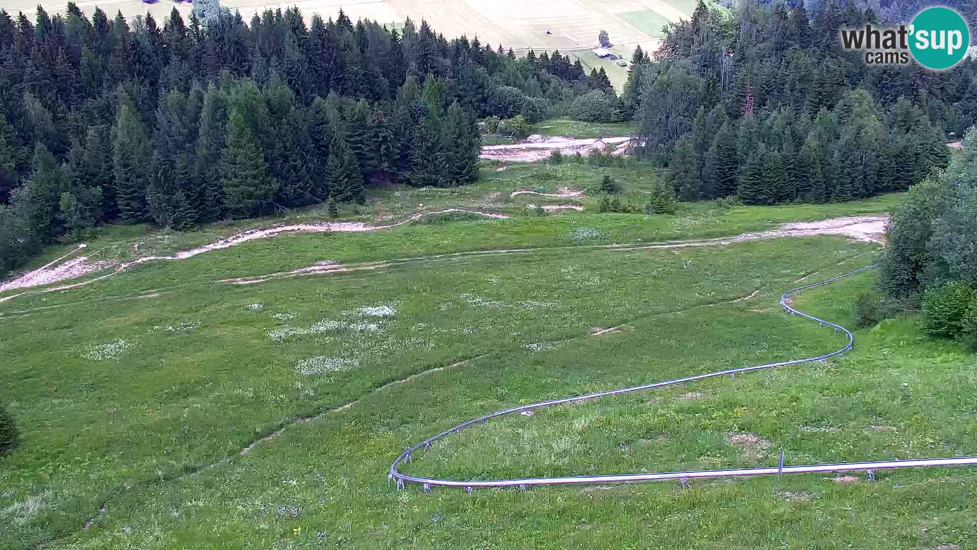 Kranjska Gora web kamera Vitranc | VITRANC 1 gornja postaja