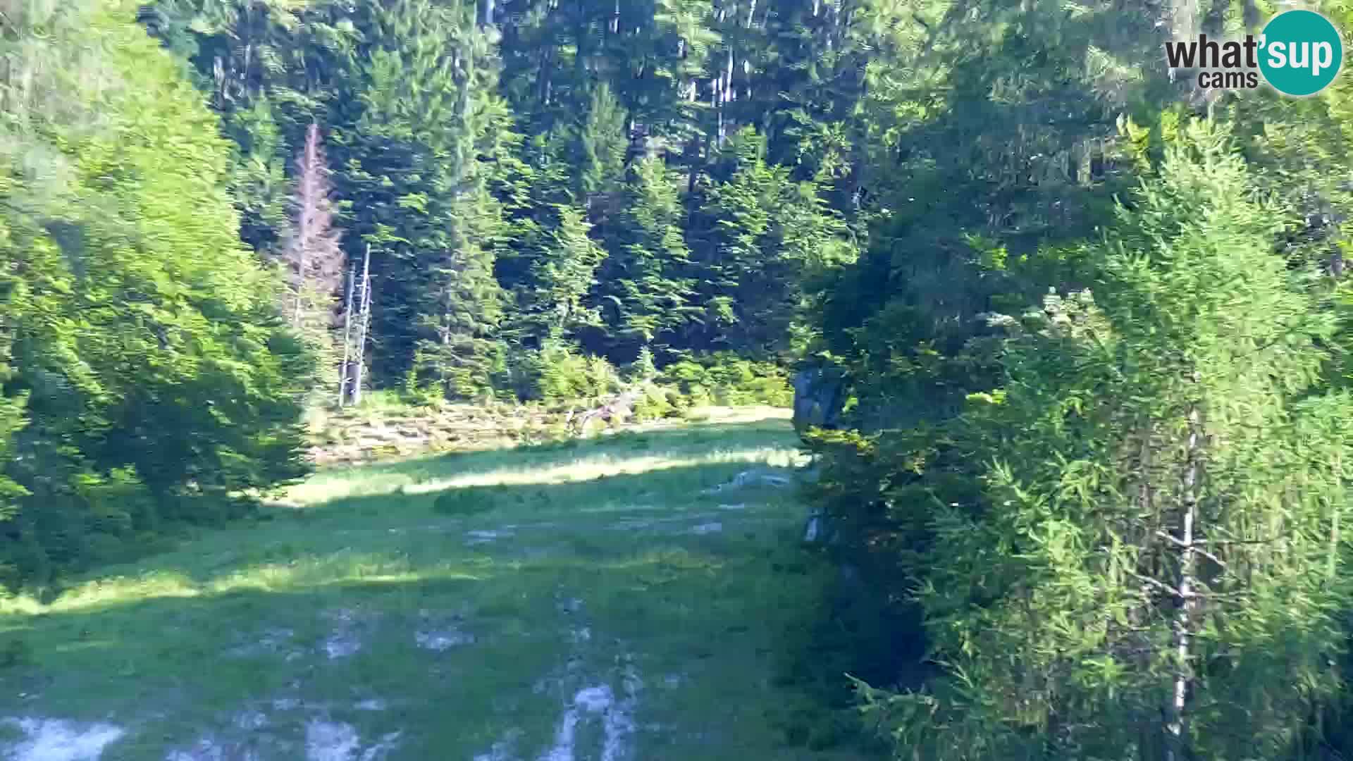 Kranjska Gora webcam VITRANC 1 | obere Station