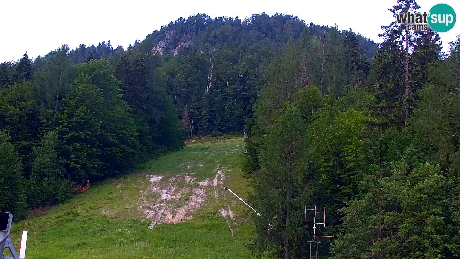Vitranc Kranjska Gora webcam | VITRANC 1 stazione superiore