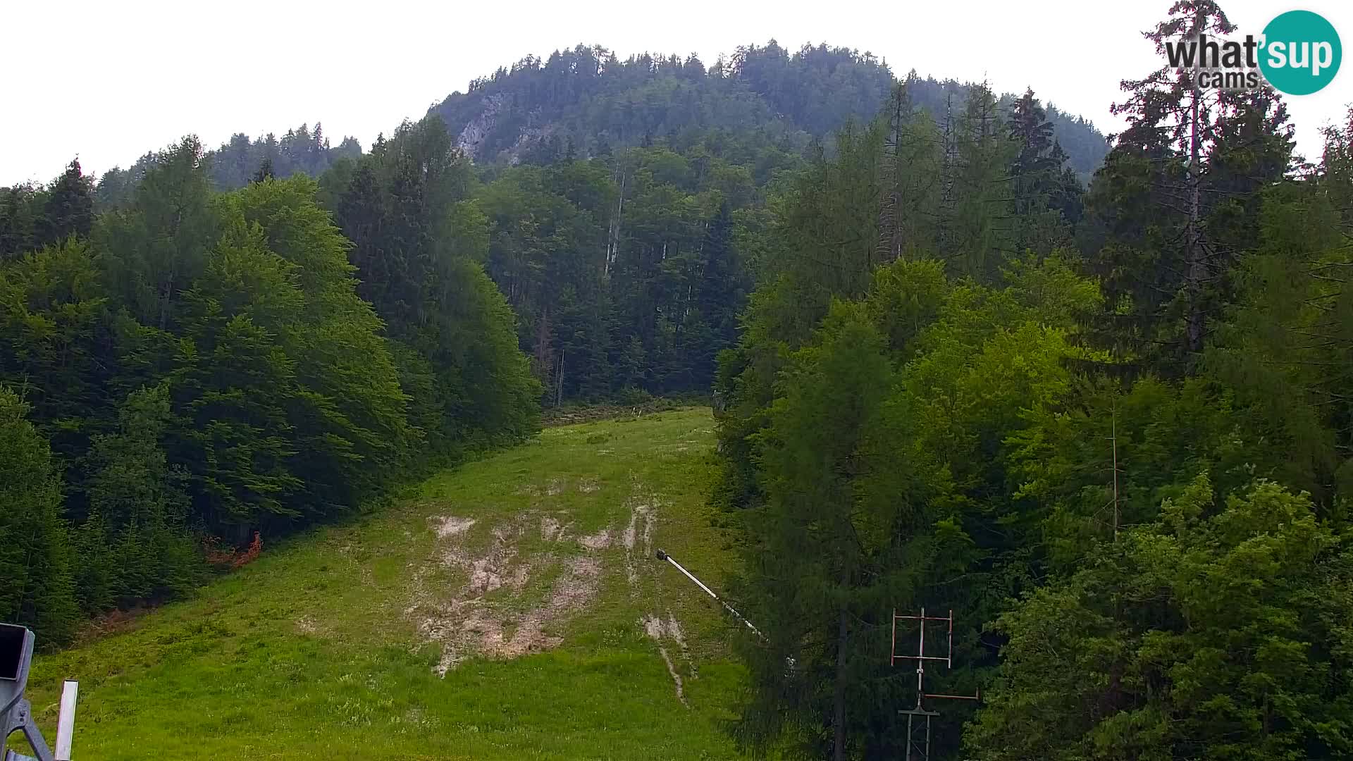 Vitranc Kranjska Gora webcam | VITRANC 1 stazione superiore