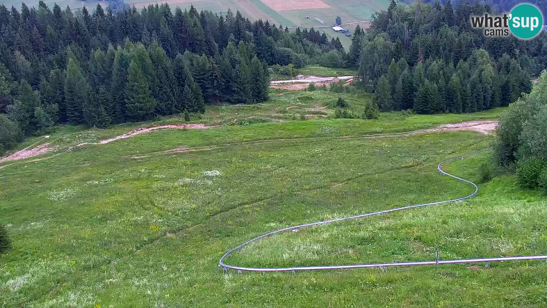 Vitranc Kranjska Gora webcam | VITRANC 1 stazione superiore