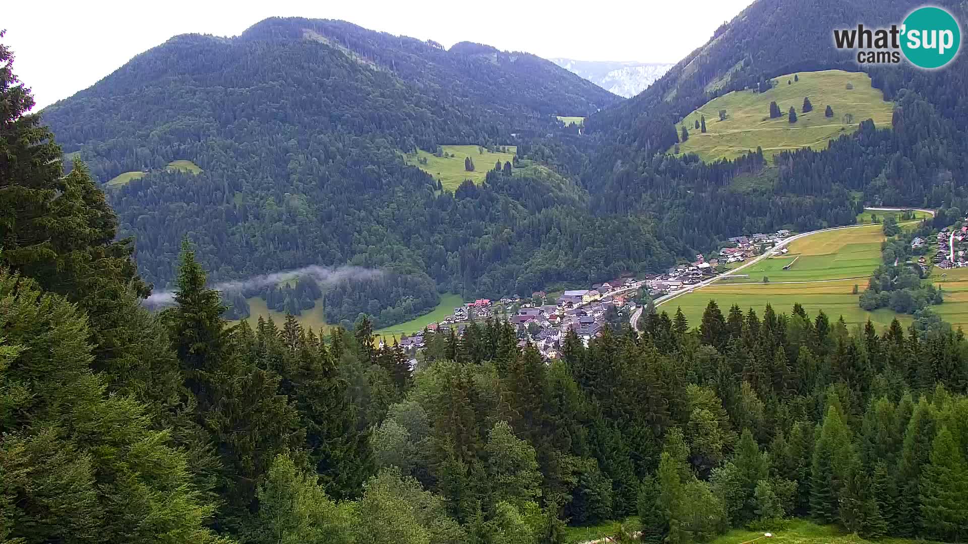 Vitranc Kranjska Gora webcam | VITRANC 1 stazione superiore