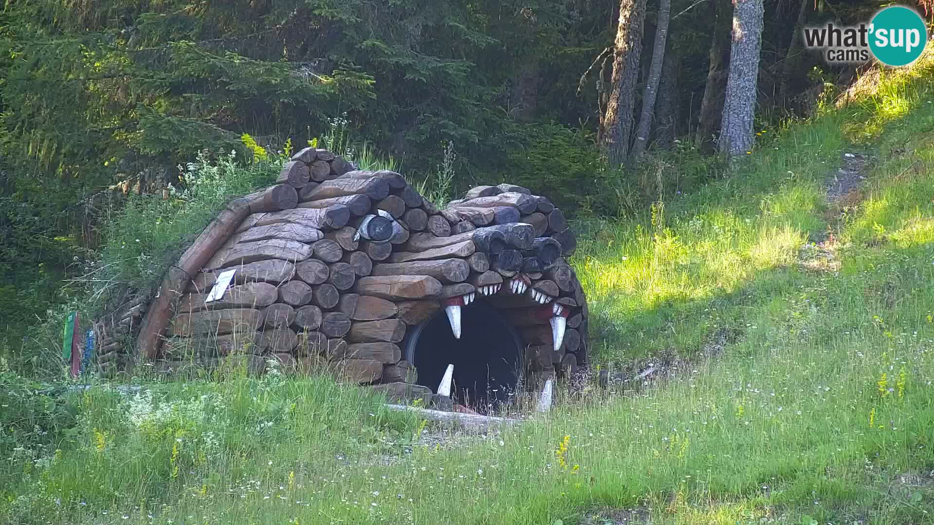 Kranjska Gora kamera VITRANC 1 | Zgornja postaja