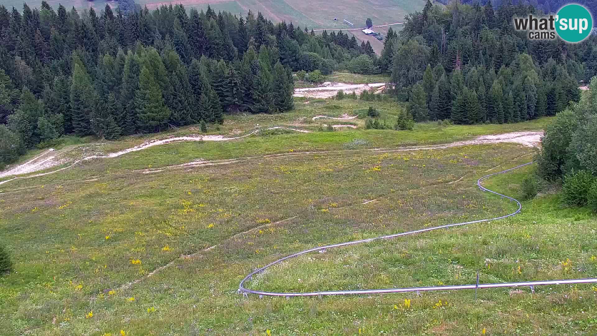 Vitranc Kranjska Gora webcam | VITRANC 1 stazione superiore
