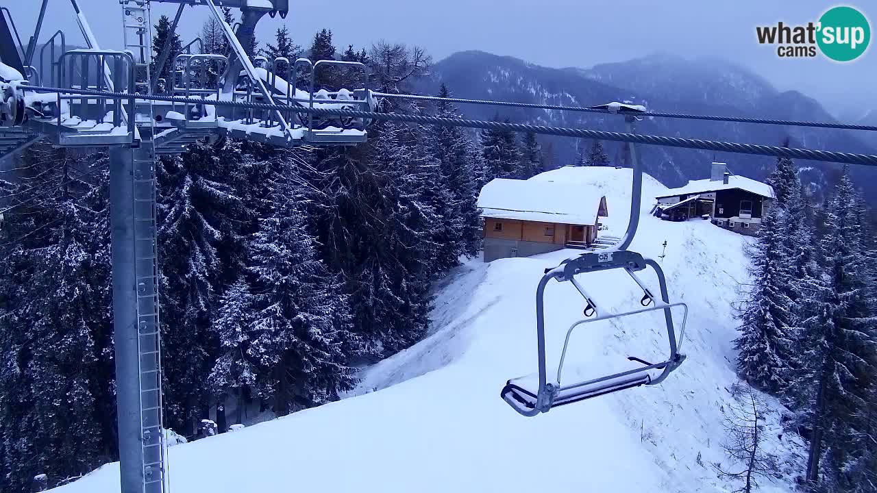 Webcam Kranjska Gora VITRANC 2 | Station supérieure