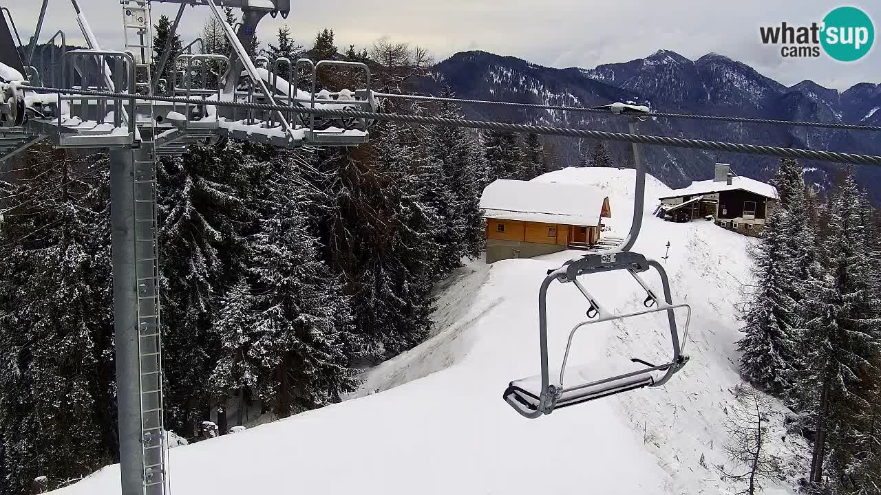 Webcam Kranjska Gora VITRANC 2 | Station supérieure