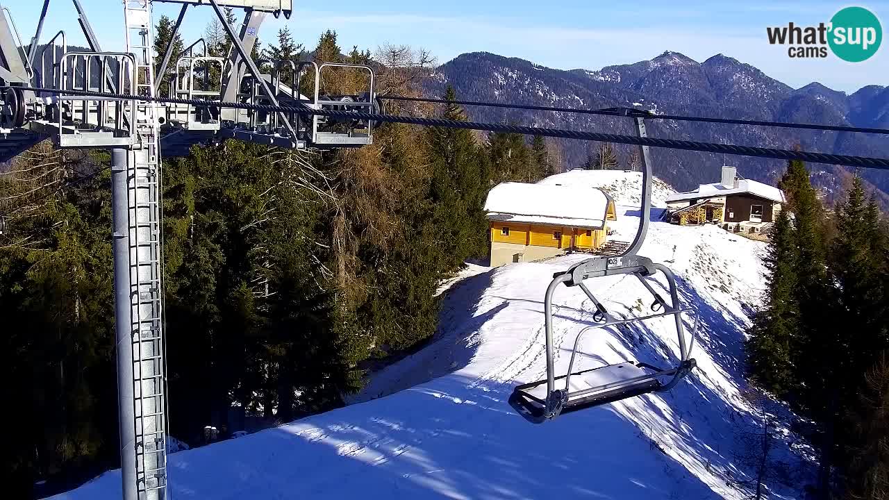 Webcam Kranjska Gora VITRANC 2 | Station supérieure