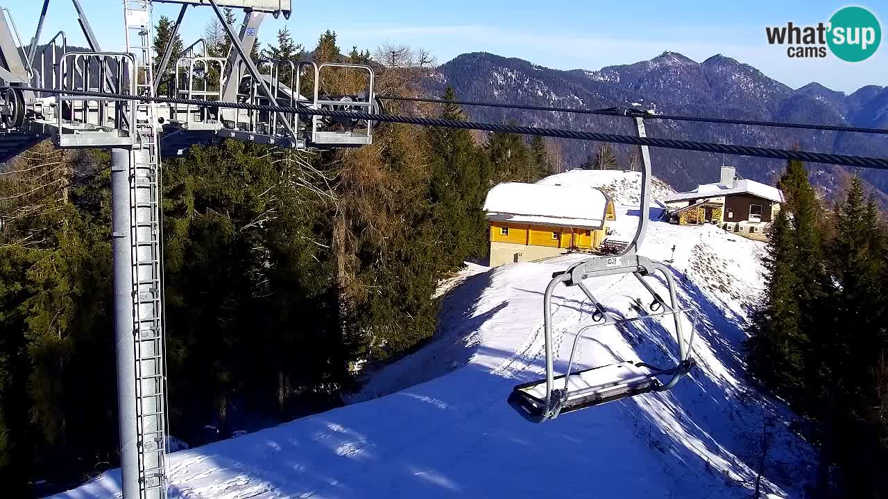 Webcam Kranjska Gora VITRANC 2 | Station supérieure