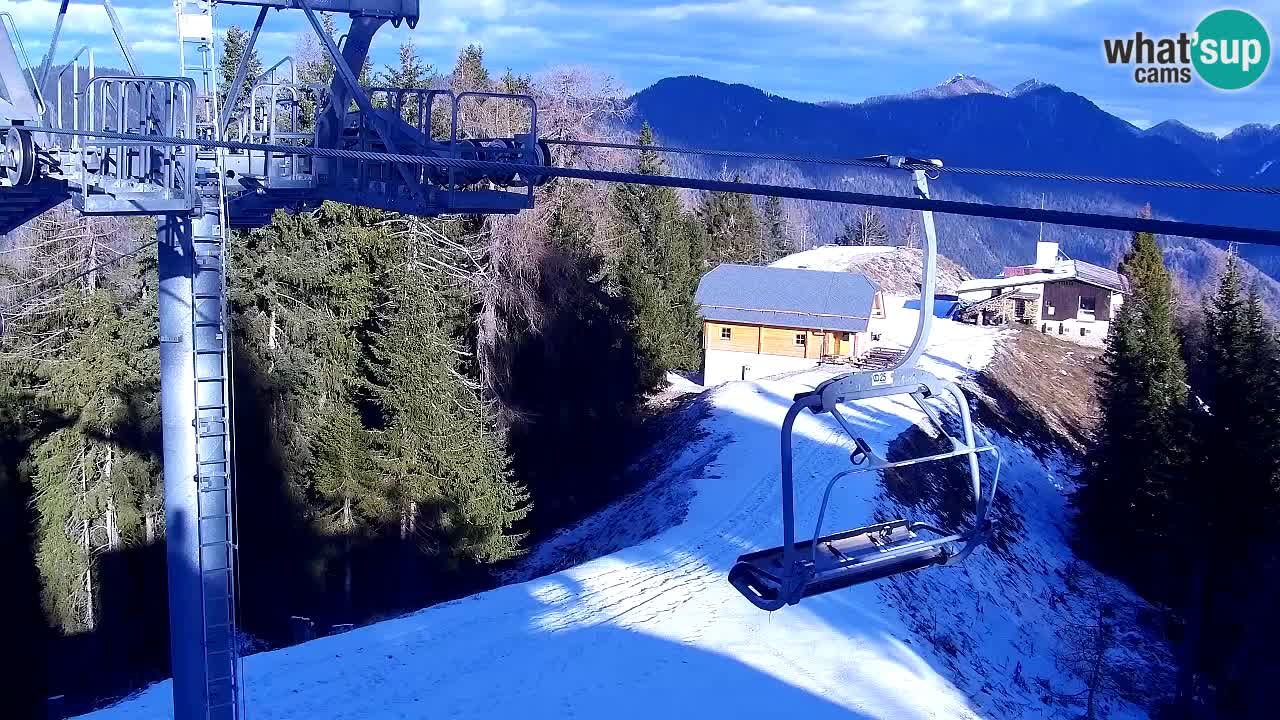 Web kamera Kranjska Gora VITRANC 2 | gornja postaja