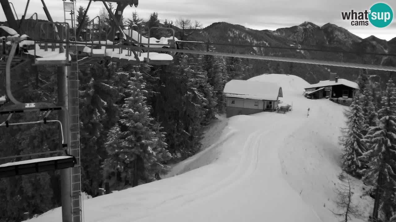 Web kamera Kranjska Gora VITRANC 2 | gornja postaja