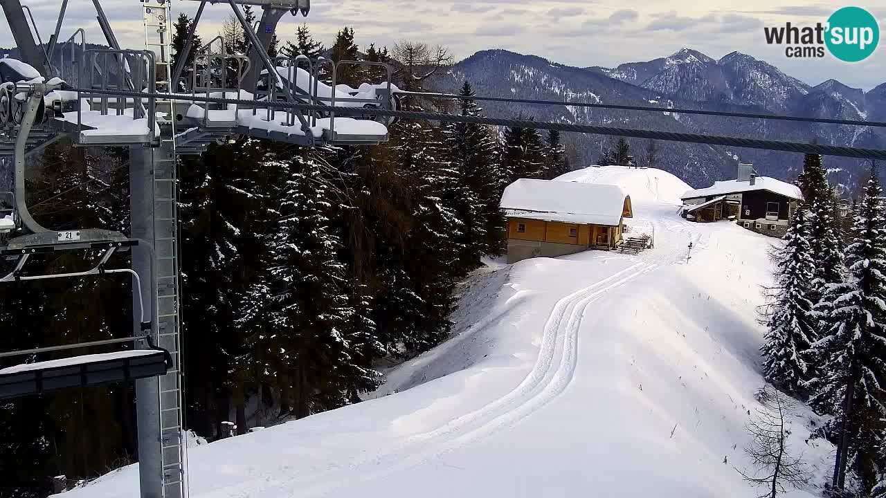 Web kamera Kranjska Gora VITRANC 2 | gornja postaja