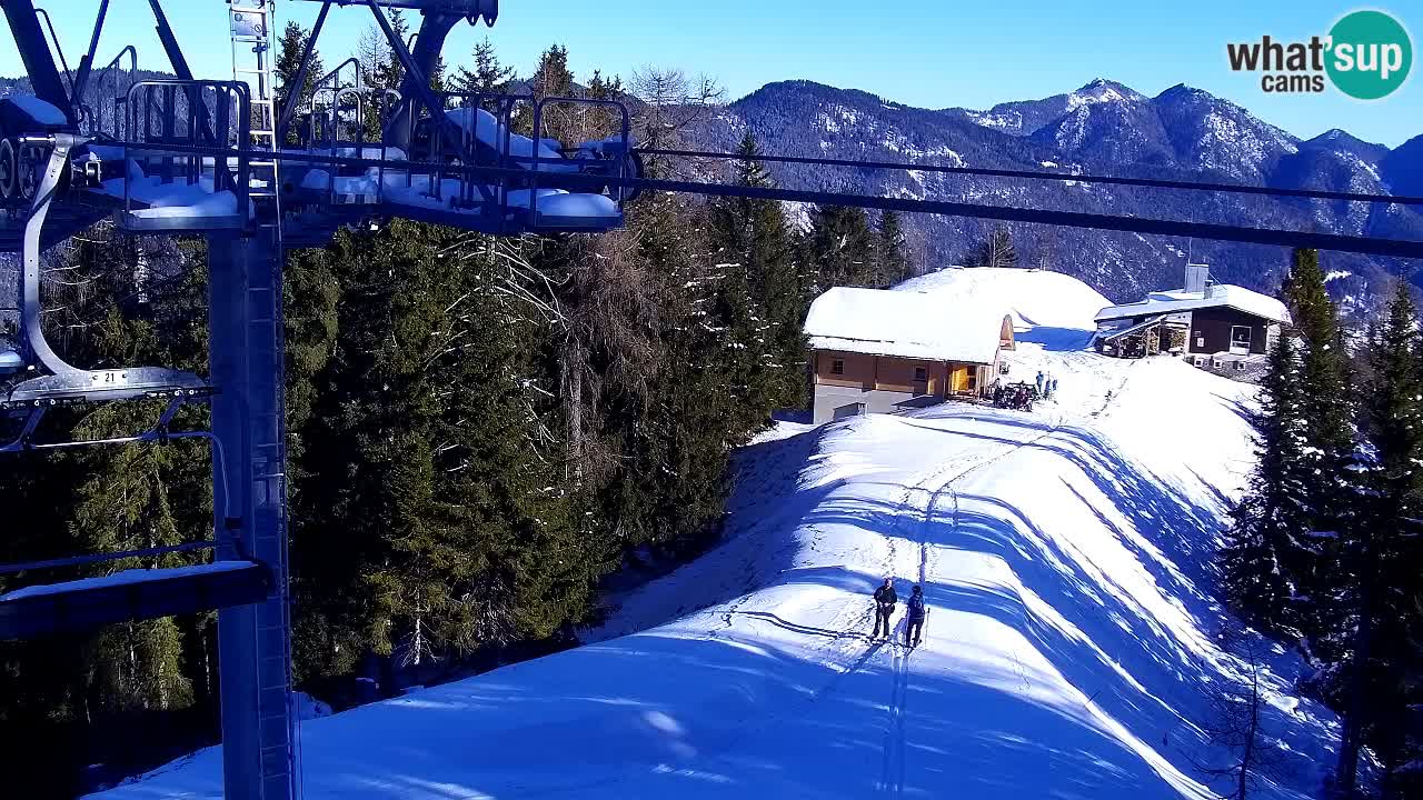 Web kamera Kranjska Gora VITRANC 2 | gornja postaja