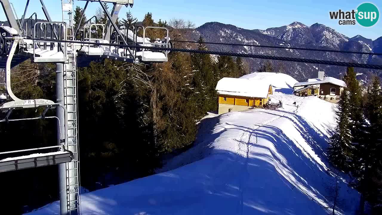 Webcam VITRANC 2 | Kranjska Gora – stazione superiore