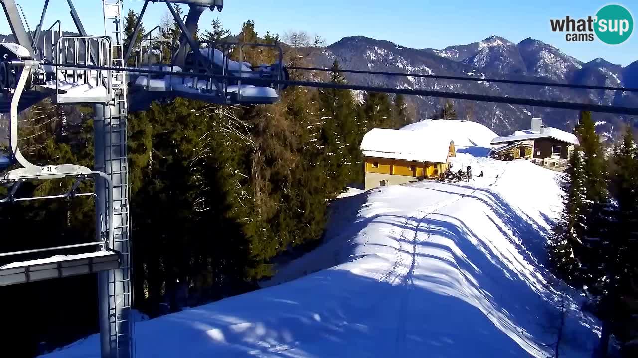 Webcam Kranjska Gora VITRANC 2 | Station supérieure