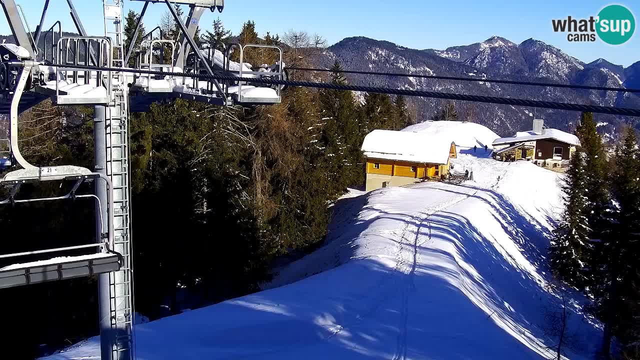 Webcam Kranjska Gora VITRANC 2 | Station supérieure