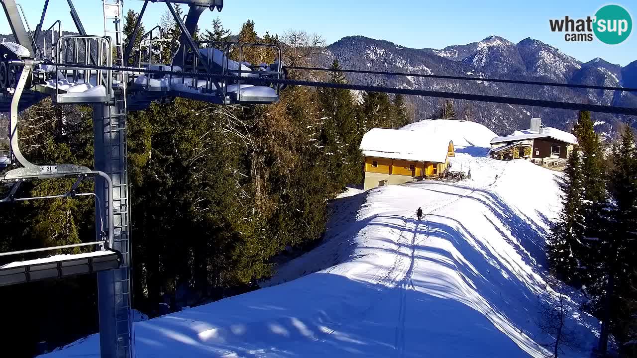 Webcam VITRANC 2 | Kranjska Gora – stazione superiore