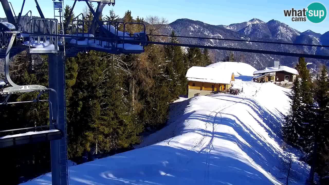 Webcam Kranjska Gora VITRANC 2 | Station supérieure