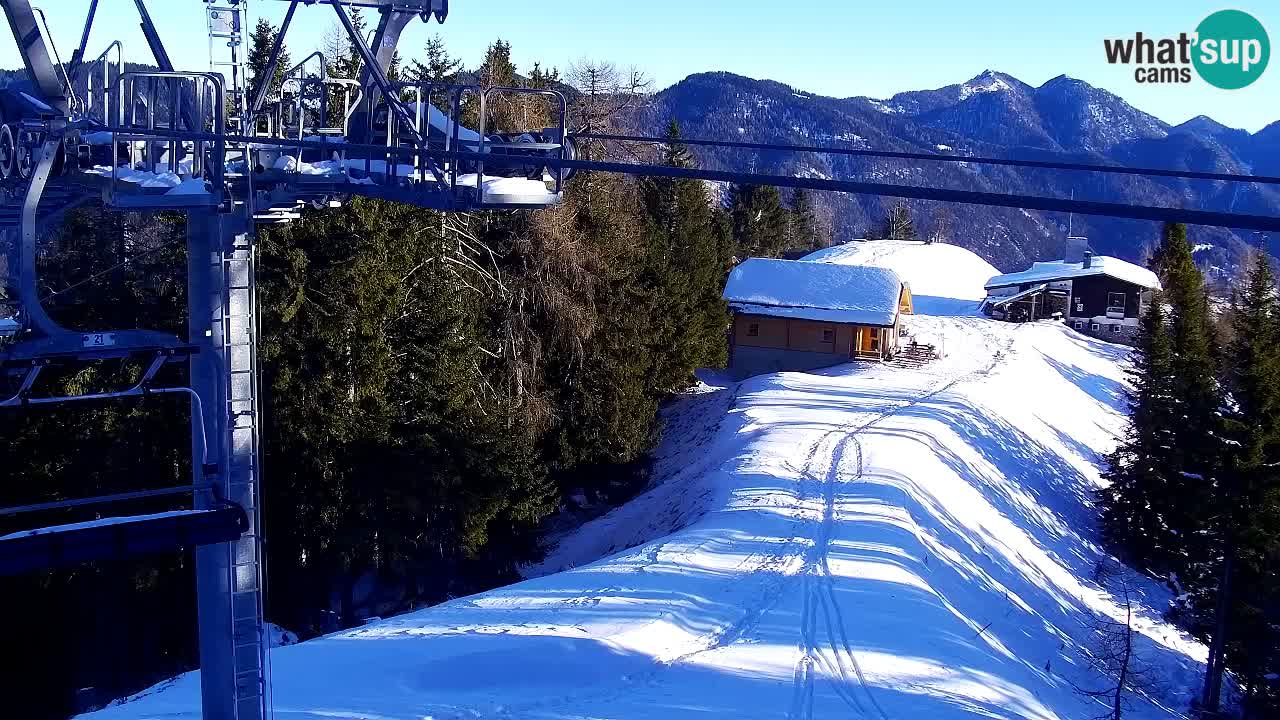 Webcam Kranjska Gora VITRANC 2 | Station supérieure