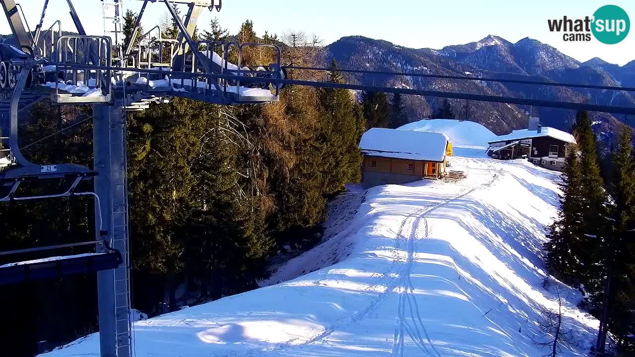 Webcam Kranjska Gora VITRANC 2 | Station supérieure