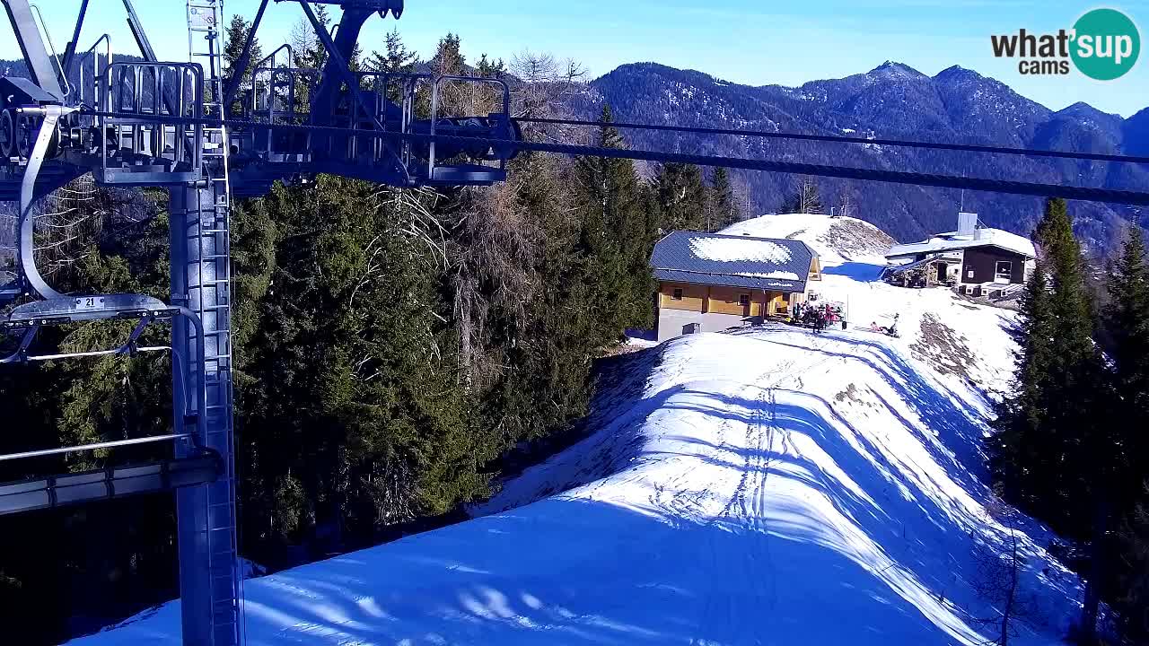 Webcam Kranjska Gora VITRANC 2 | Station supérieure