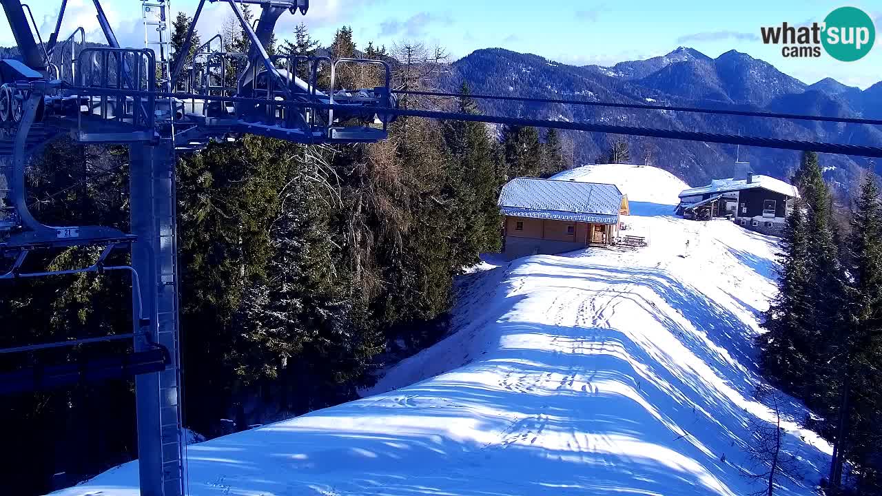 Web kamera Kranjska Gora VITRANC 2 | gornja postaja