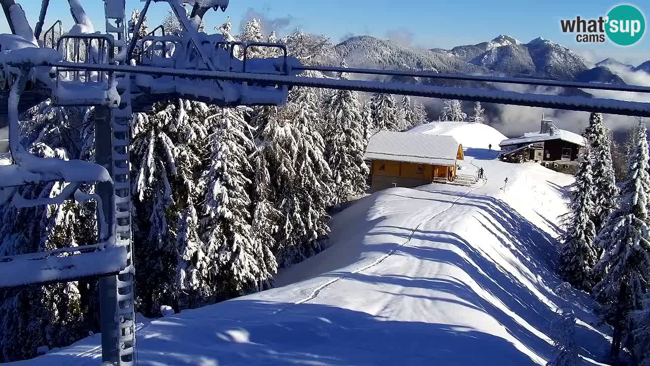 Web kamera Kranjska Gora VITRANC 2 | gornja postaja