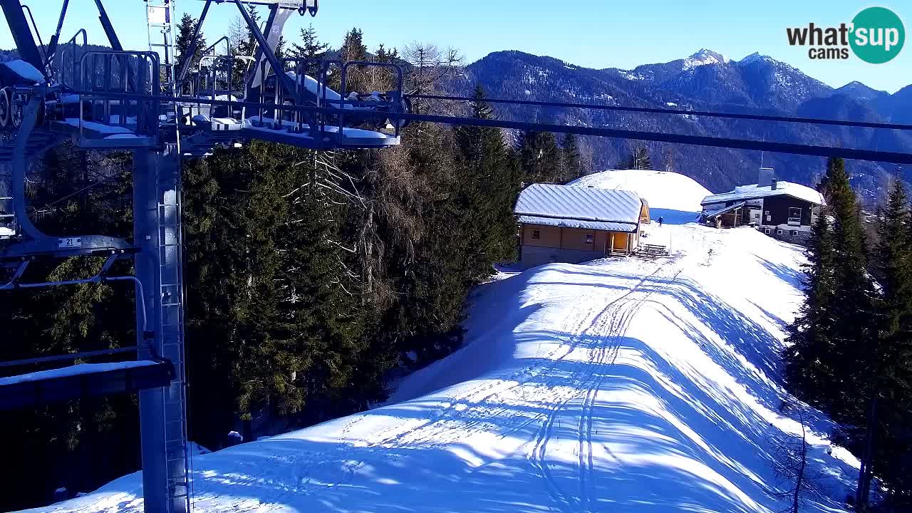 Webcam Kranjska Gora VITRANC 2 | station supérieure