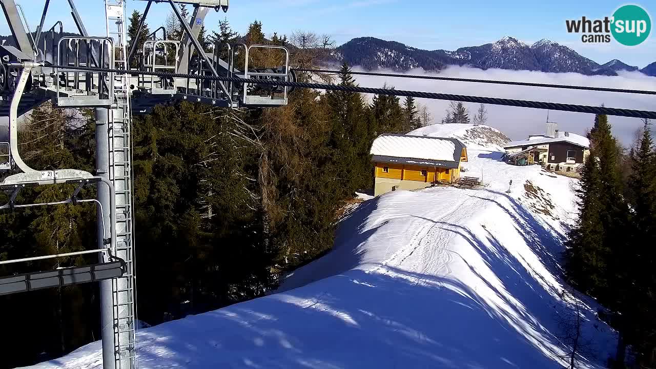 Web kamera Kranjska Gora VITRANC 2 | gornja postaja