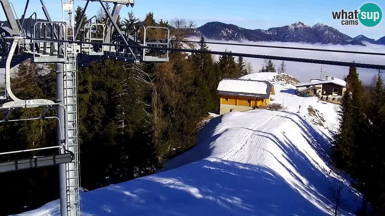 Webcam Kranjska Gora VITRANC 2 | Station supérieure