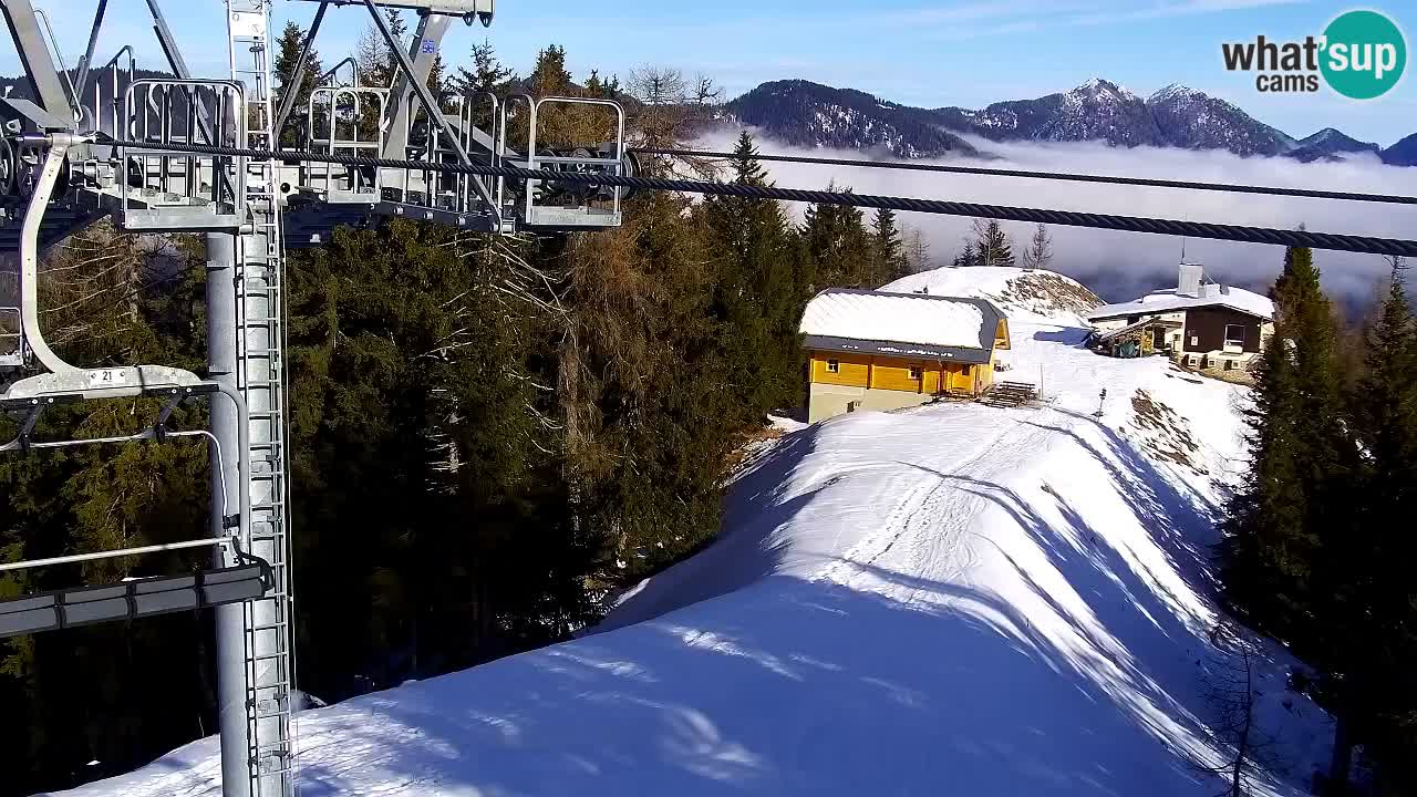 Webcam VITRANC 2 | Kranjska Gora – stazione superiore