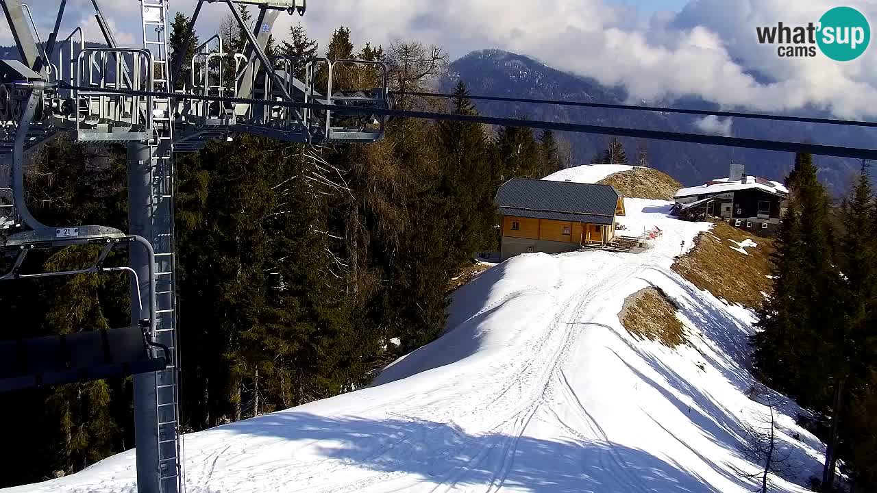 Web kamera Kranjska Gora VITRANC 2 | gornja postaja