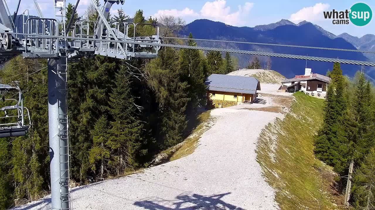 Webcam Kranjska Gora VITRANC 2 | Station supérieure