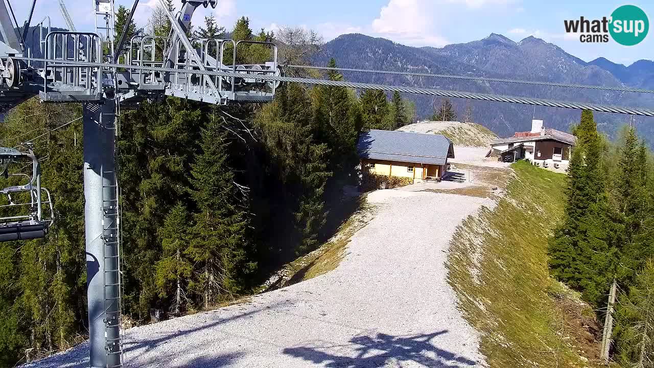 Web kamera Kranjska Gora VITRANC 2 | gornja postaja